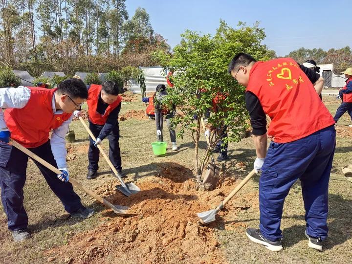 植樹過程3.jpg